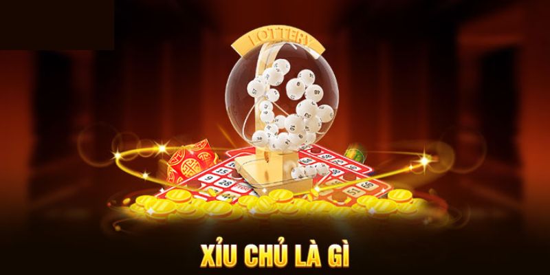 Trả lời câu hỏi Xỉu chủ là gì