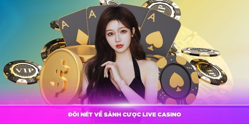 Thông tin cơ bản về DB casino
