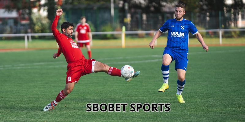 Những siêu phẩm ăn khách nhất tại sảnh Sbobet sports