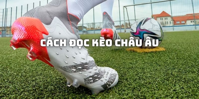 Cách đọc kèo bóng đá đơn giản, chính xác nhất