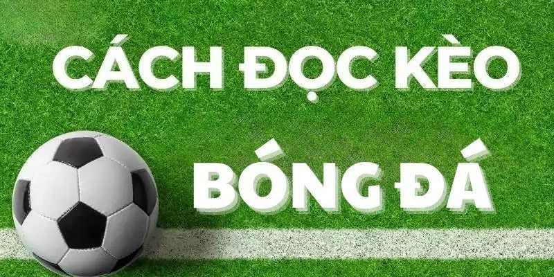 Kinh nghiệm dự đoán bóng đá cực chuẩn cho tân thủ