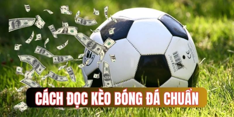 Vì sao cần tìm hiểu cách đọc kèo bóng đá?