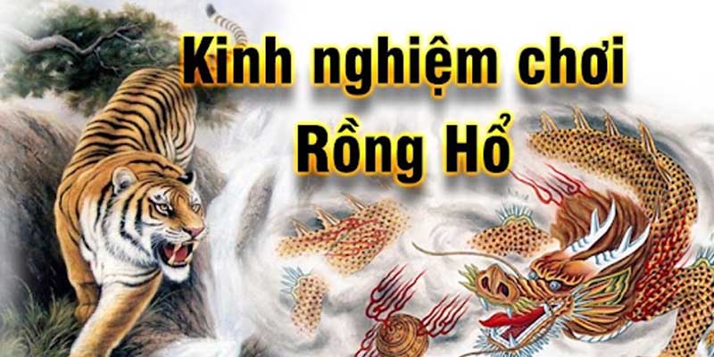 Rồng Hổ S666 - Siêu Phẩm Giải Trí Hot Nhất Hiện Nay