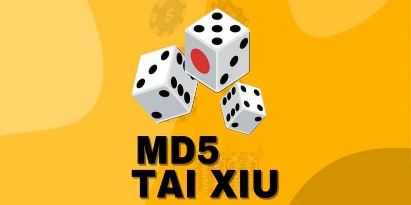 Tìm hiểu sơ bộ về Tài Xỉu MD5 hot hit