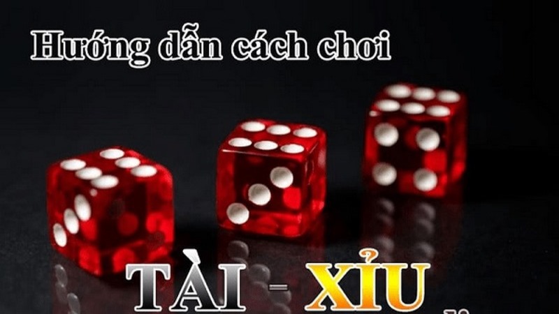Cách chơi tài xỉu online từ A - Z cho tân thủ
