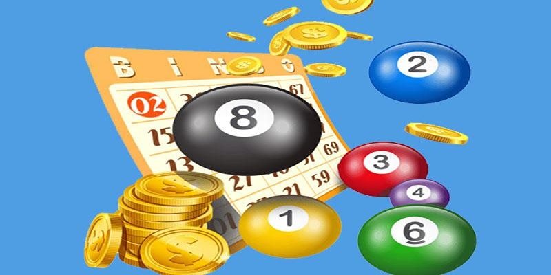 Nuôi Lô Khung Là Gì? Kinh Nghiệm Nuôi Số Hiệu Quả Từ S666