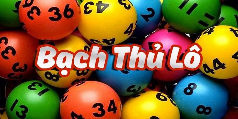 Đôi nét nổi bật về bạch thủ lô