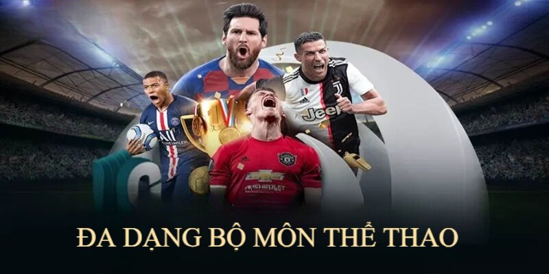 Cá cược thể thao trực tuyến không giới hạn mỗi ngày