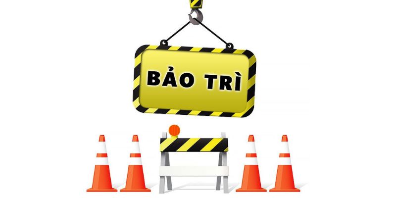 Lưu ý giúp bet thủ có trải nghiệm hoàn hảo khi S666 bảo tri