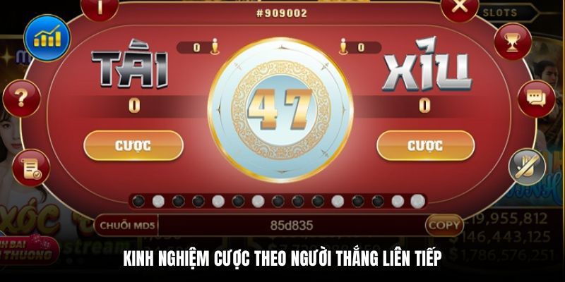 Kinh nghiệm cược theo người thắng liên tiếp