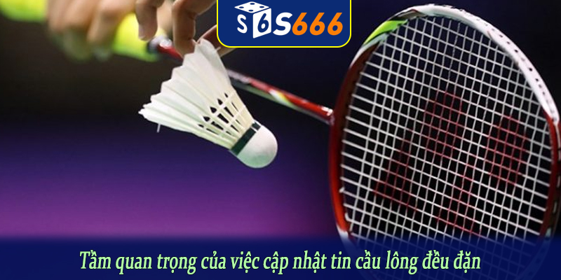 Tầm quan trọng của việc cập nhật tin cầu lông đều đặn
