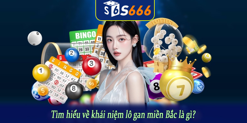 Tìm hiểu về khái niệm lô gan miền Bắc là gì?