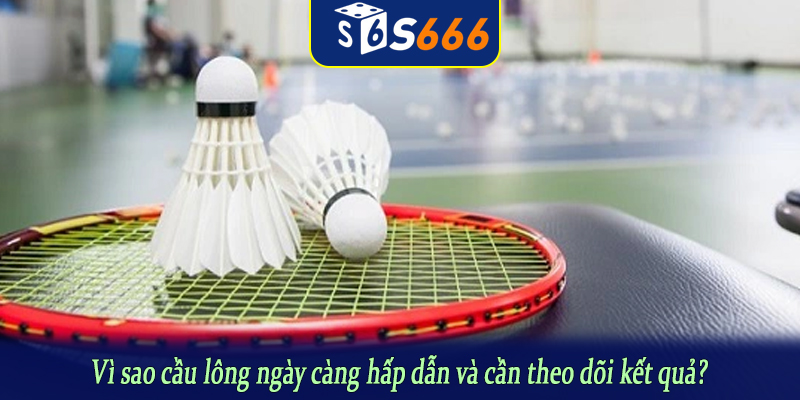 Vì sao cầu lông ngày càng hấp dẫn và cần theo dõi kết quả?