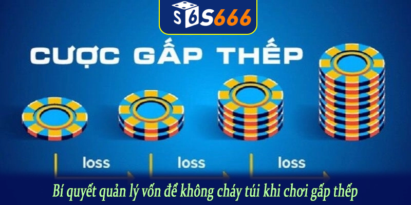 Bí quyết quản lý vốn để không cháy túi khi chơi gấp thếp