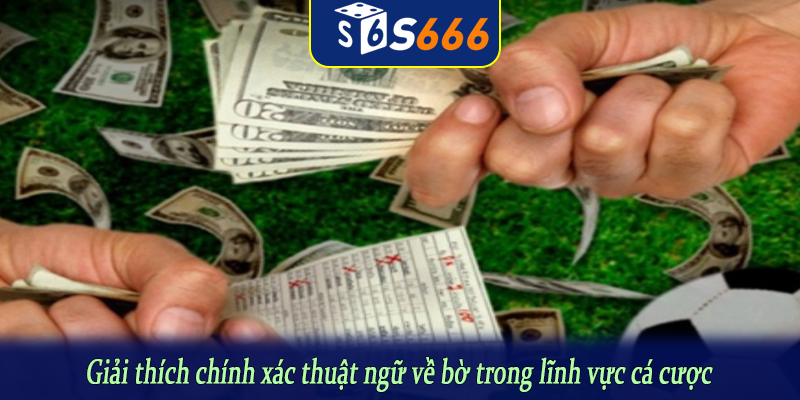 Giải thích chính xác thuật ngữ về bờ trong lĩnh vực cá cược