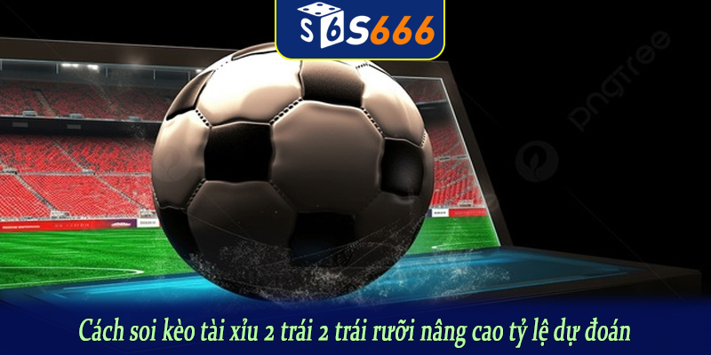 Cách soi kèo tài xỉu 2 trái 2 trái rưỡi nâng cao tỷ lệ dự đoán
