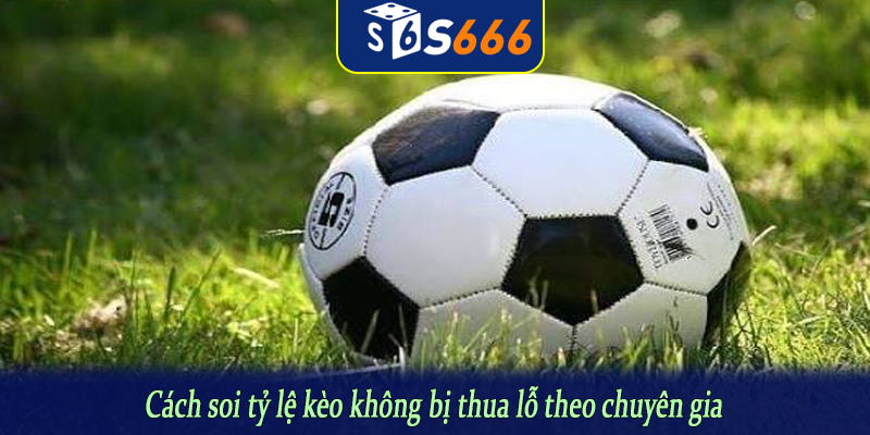 Cách soi tỷ lệ kèo không bị thua lỗ theo chuyên gia