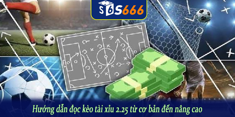 Hướng dẫn đọc kèo tài xỉu 2.25 từ cơ bản đến nâng cao