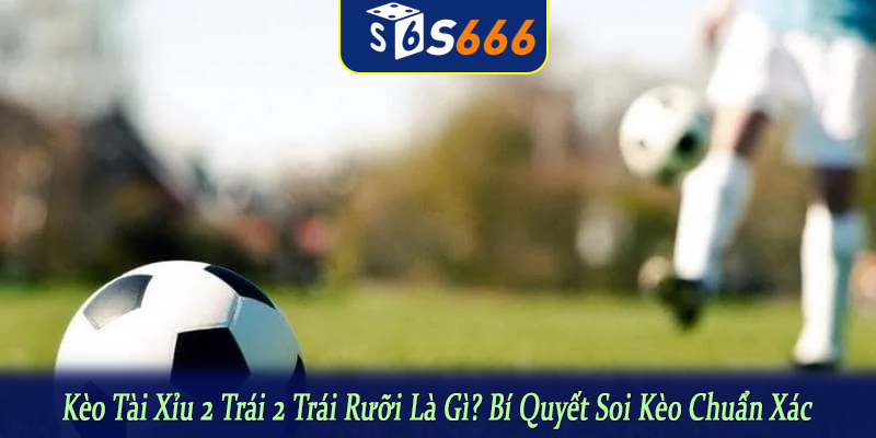 kèo tài xỉu 2 trái 2 trái rưỡi