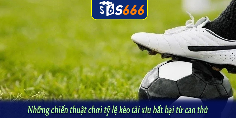 Những chiến thuật chơi tỷ lệ kèo tài xỉu bất bại từ cao thủ