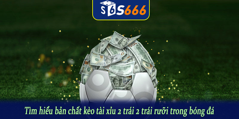 Tìm hiểu bản chất kèo tài xỉu 2 trái 2 trái rưỡi trong bóng đá