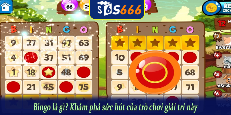 Bingo là gì? Khám phá sức hút của trò chơi giải trí này