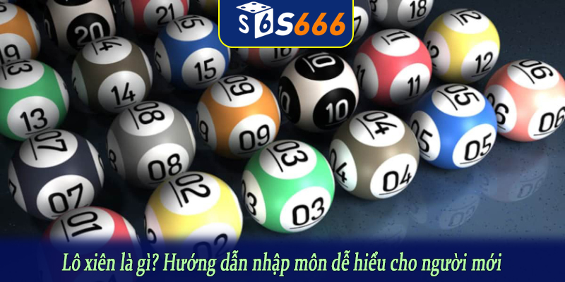 Lô xiên là gì? Hướng dẫn nhập môn dễ hiểu cho người mới