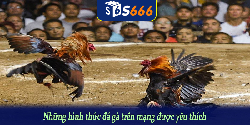 Những hình thức đá gà trên mạng được yêu thích