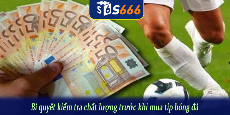 Bí quyết kiểm tra chất lượng trước khi mua tip bóng đá