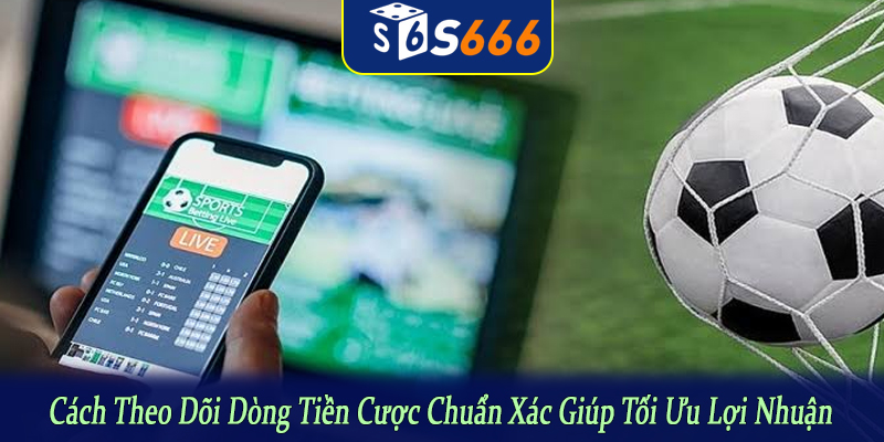 cách theo dõi dòng tiền cược