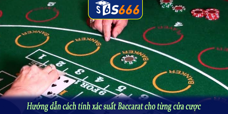 Hướng dẫn cách tính xác suất Baccarat cho từng cửa cược