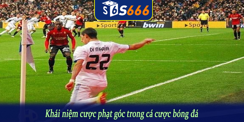 Khái niệm cược phạt góc trong cá cược bóng đá