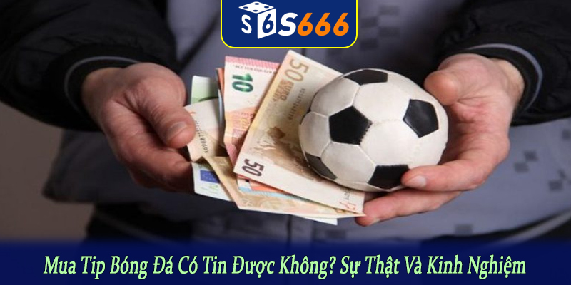 mua tip bóng đá có tin được không