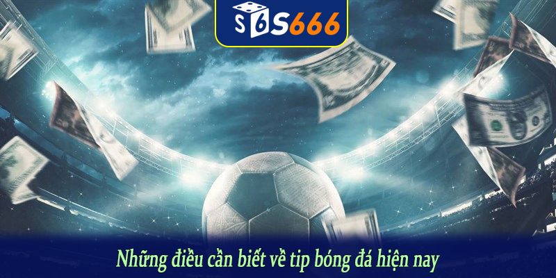 Những điều cần biết về tip bóng đá hiện nay