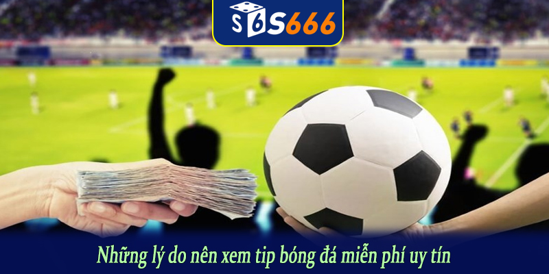 Những lý do nên xem tip bóng đá miễn phí uy tín