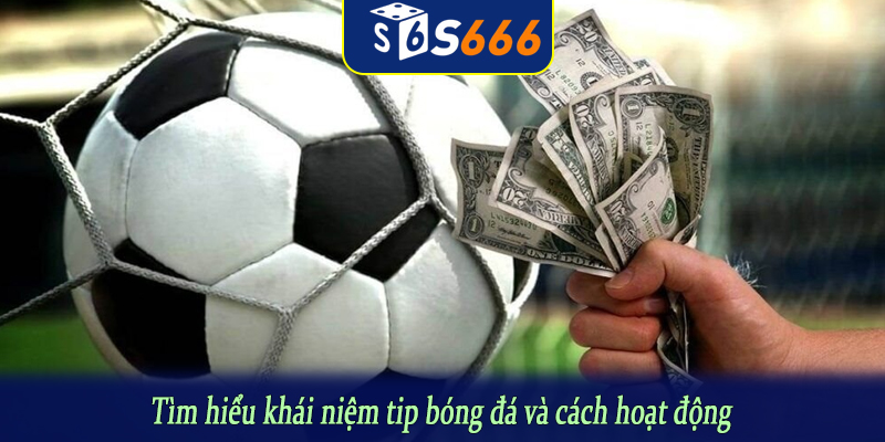 Tìm hiểu khái niệm tip bóng đá và cách hoạt động