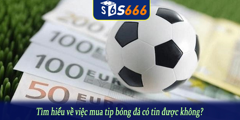 Tìm hiểu về việc mua tip bóng đá có tin được không?