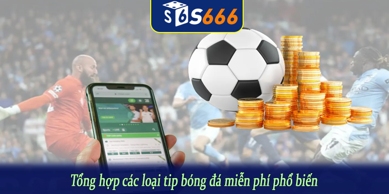 Tổng hợp các loại tip bóng đá miễn phí phổ biến