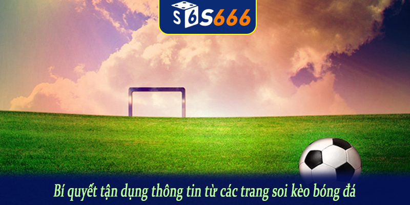 Bí quyết tận dụng thông tin từ các trang soi kèo bóng đá