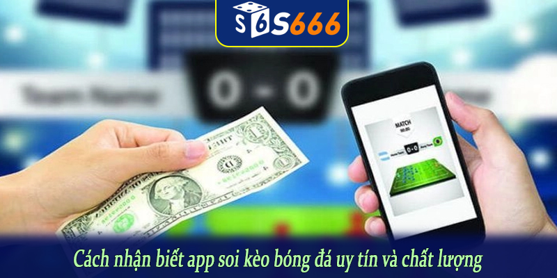 Cách nhận biết app soi kèo bóng đá uy tín và chất lượng