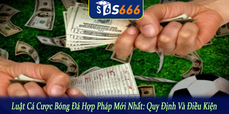 Luật cá cược bóng đá hợp pháp mới nhất