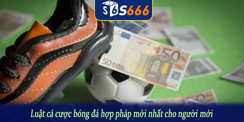 Luật cá cược bóng đá hợp pháp mới nhất cho người mới