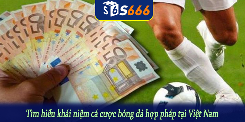 Tìm hiểu khái niệm cá cược bóng đá hợp pháp tại Việt Nam
