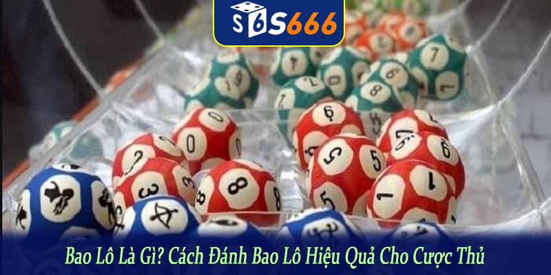 bao lô là gì