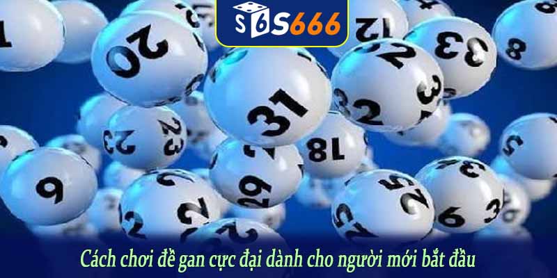 Cách chơi đề gan cực đại dành cho người mới bắt đầu