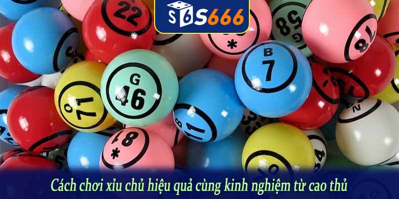Cách chơi xỉu chủ hiệu quả cùng kinh nghiệm từ cao thủ