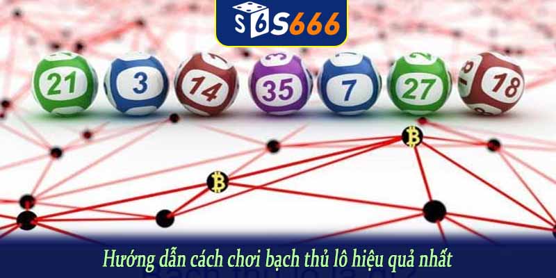 Hướng dẫn cách chơi bạch thủ lô hiệu quả nhất