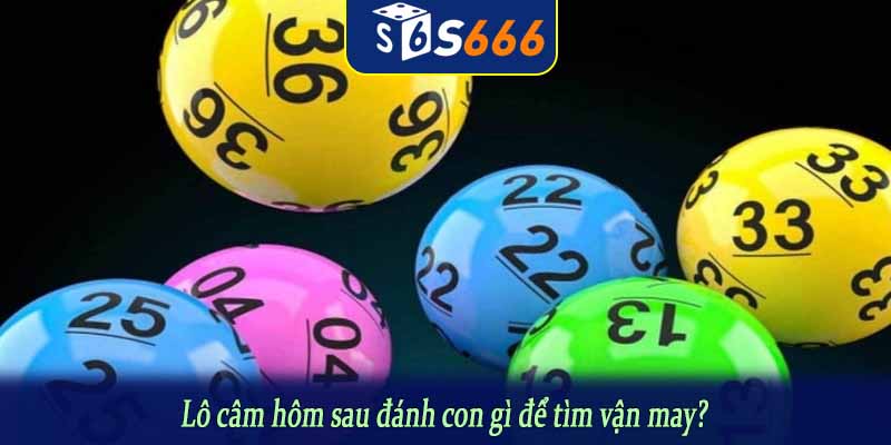Lô câm hôm sau đánh con gì để tìm vận may?