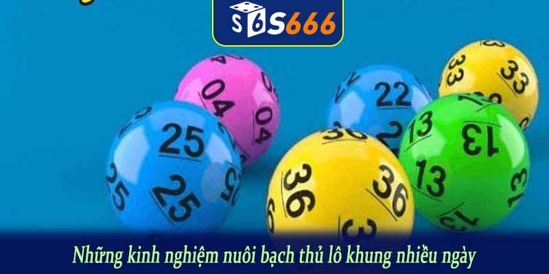 Những kinh nghiệm nuôi bạch thủ lô khung nhiều ngày