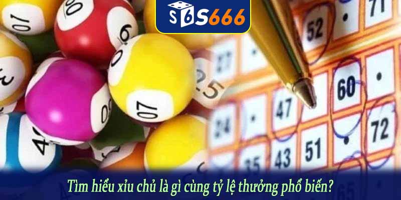 Tìm hiểu xỉu chủ là gì cùng tỷ lệ thưởng phổ biến?